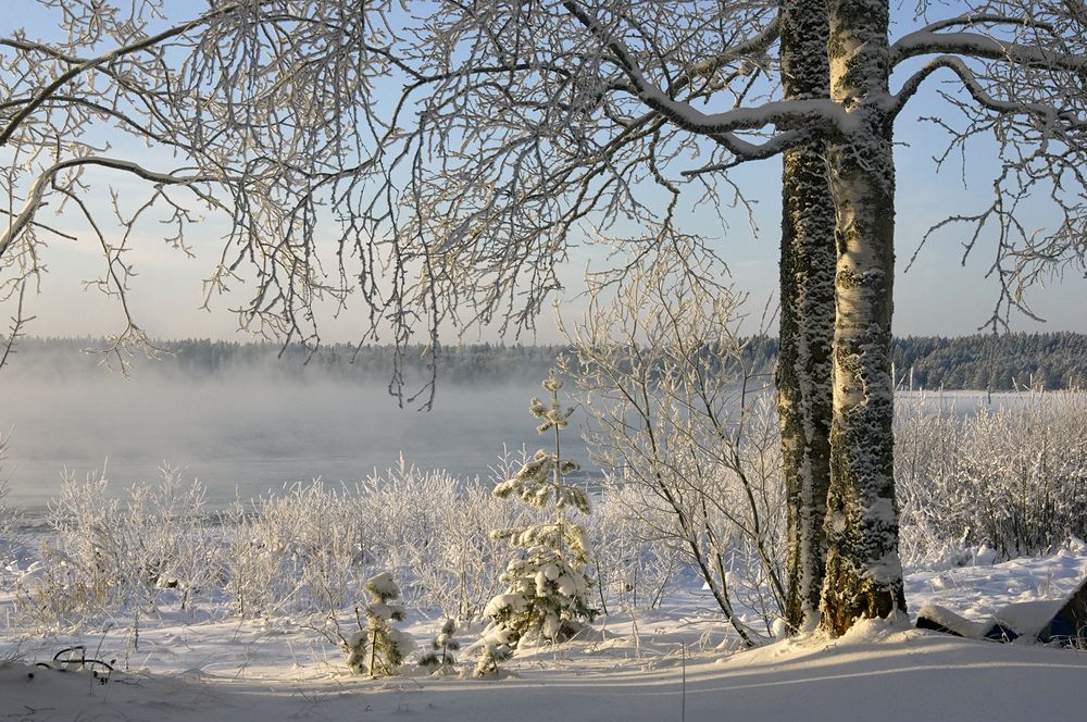 Фотография автора Харламова Валентина