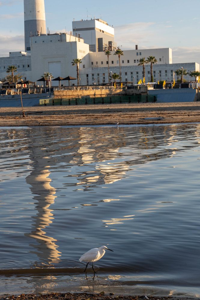 Photograph by Igor Shulkin