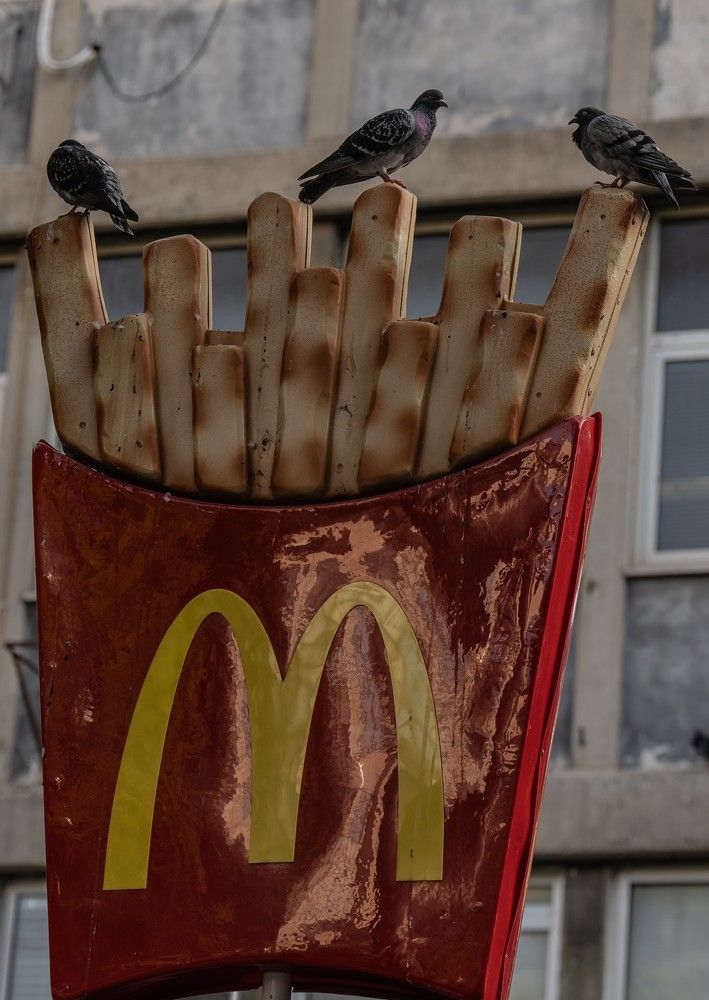 Photograph by Igor Shulkin