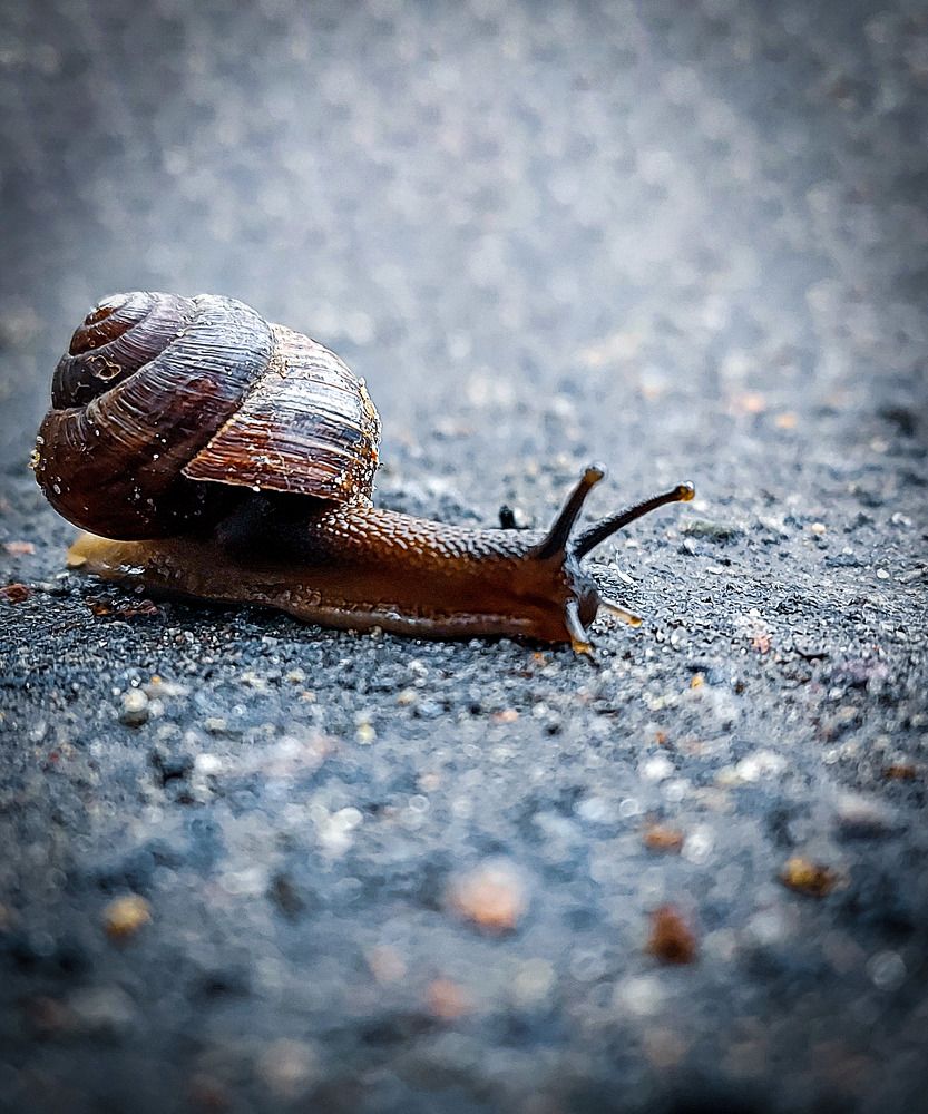 Photograph by Елена Кирикова