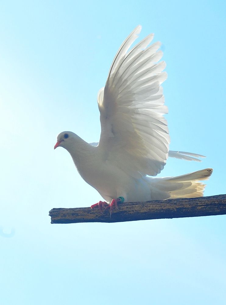 Photograph by Алексей Volg