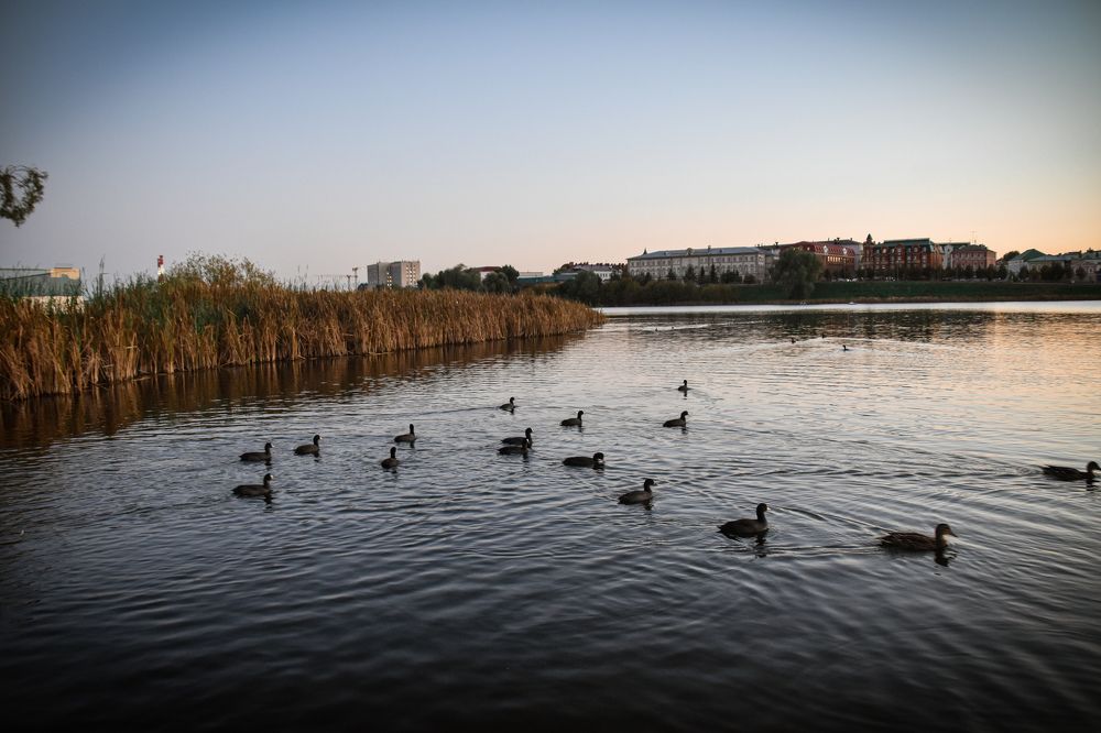 Photograph by Elvira