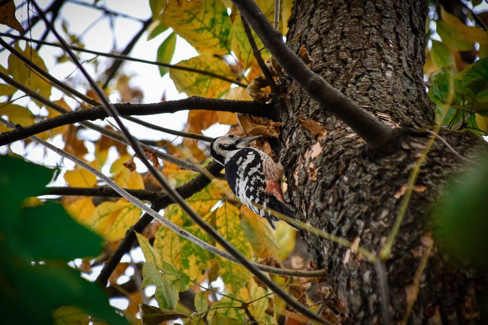 Photograph by Elvira