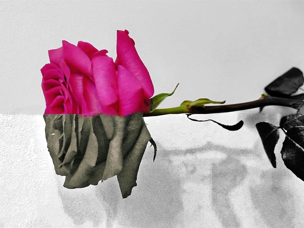 Photograph by Tatsiana Khinevich