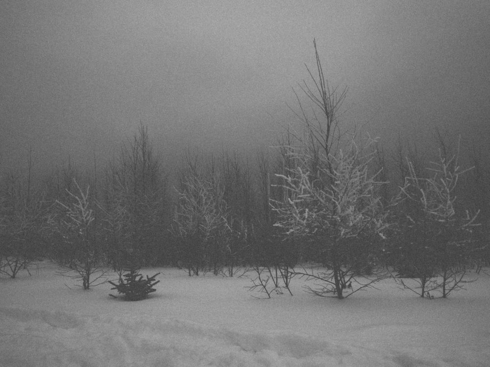 Photograph by Chelyshev Boris