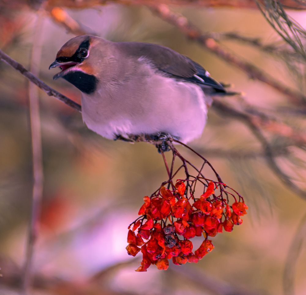 Предупреждение, что место занято