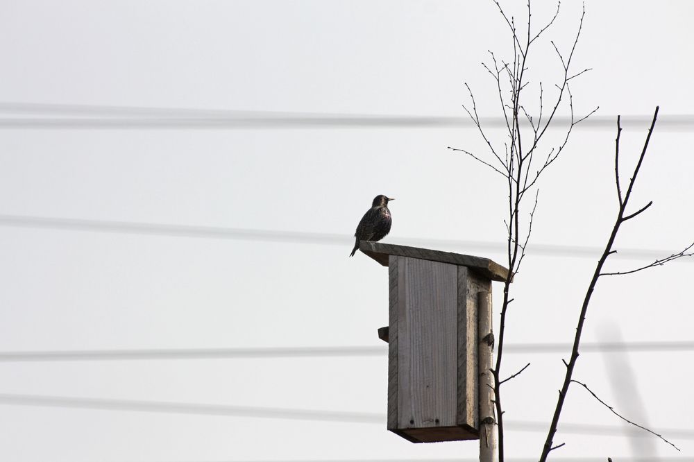 Photograph by Pavel Gukov