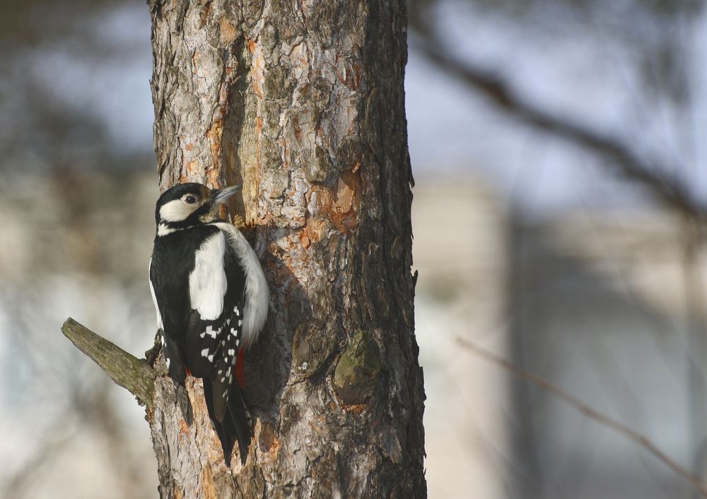 Photograph by Pavel Gukov