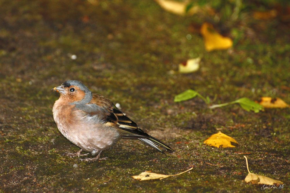 Photograph by Pavel Gukov