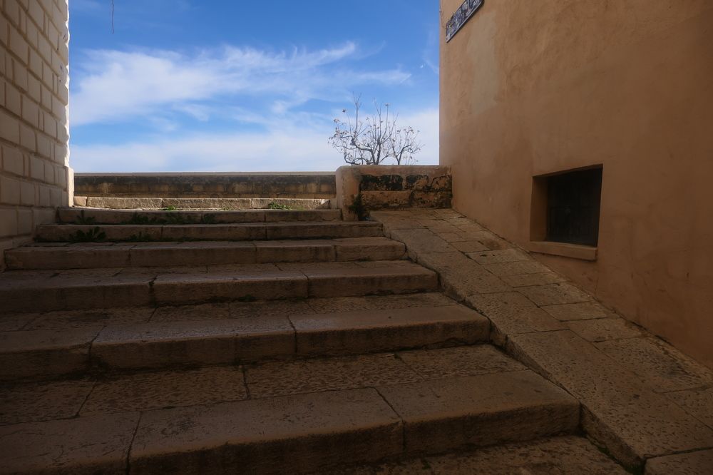 The immense and the path.