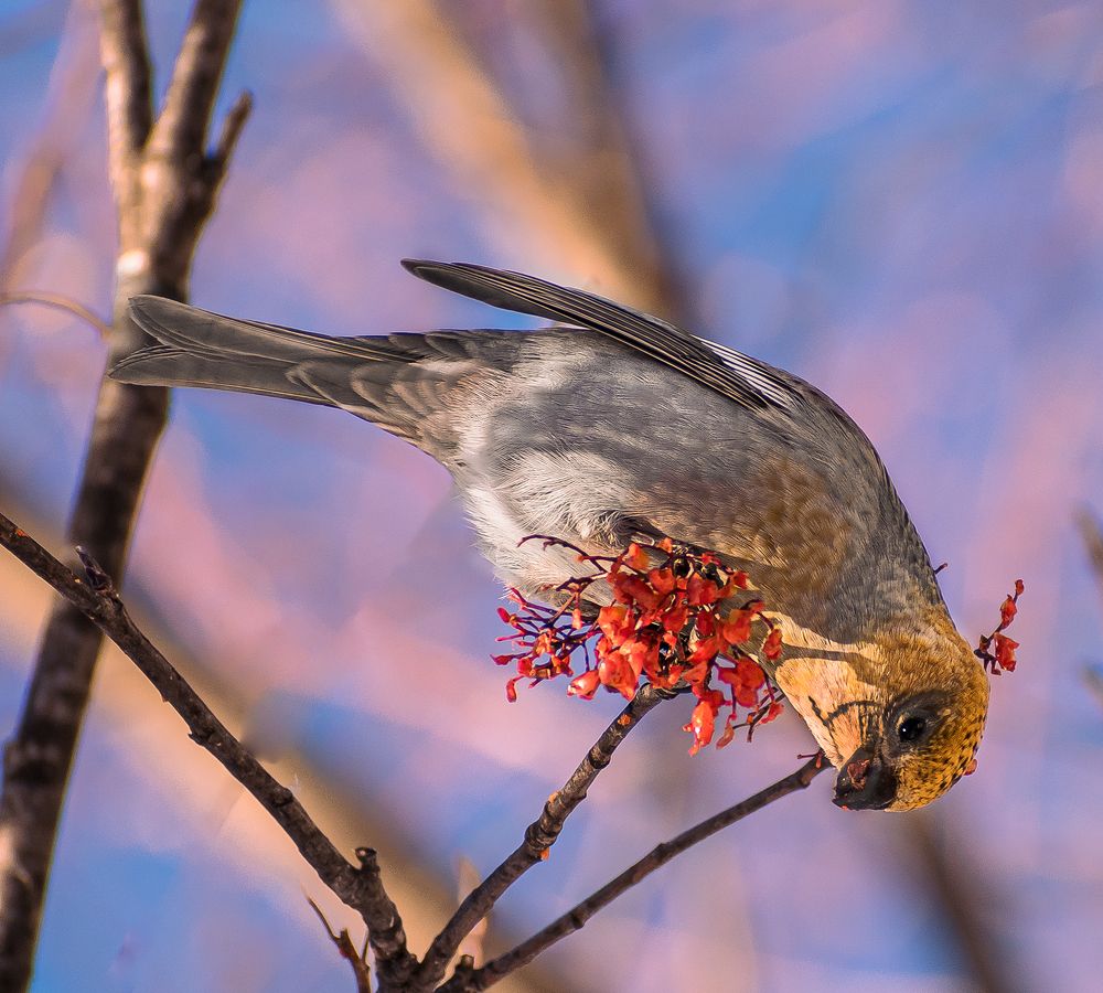 Пора подкрепиться