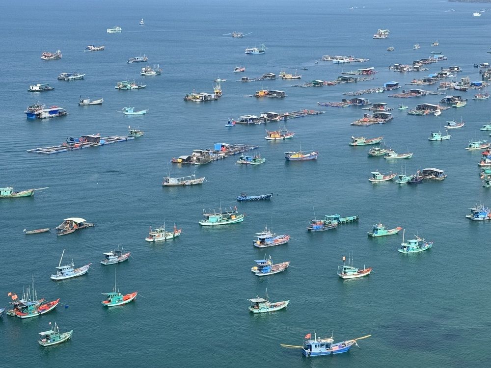 Фотография автора ГУЗАЛИЯ ГАНИЕВА