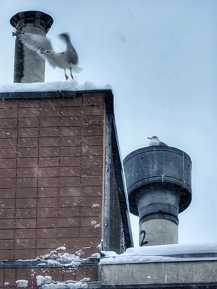 Photograph by Наталия Романова