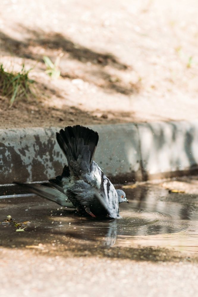 Photograph by Анастасия Лидяева