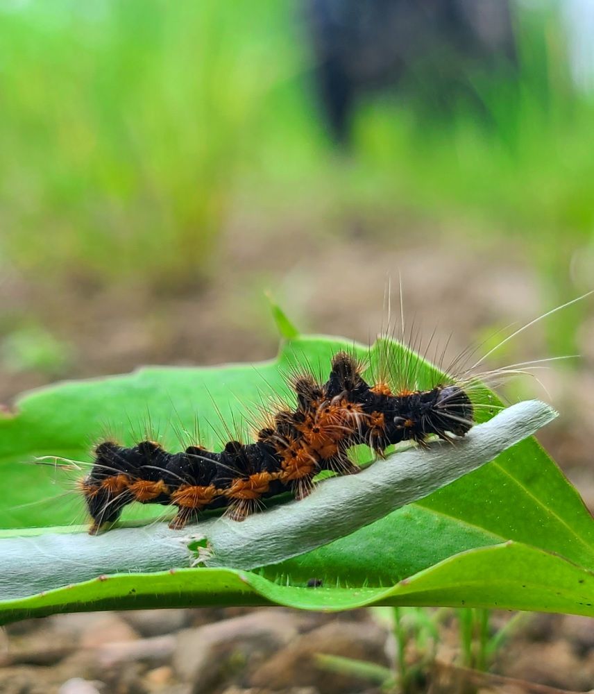 Photograph by Татьяна Бухтиярова