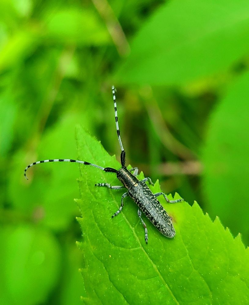 Photograph by Татьяна Бухтиярова