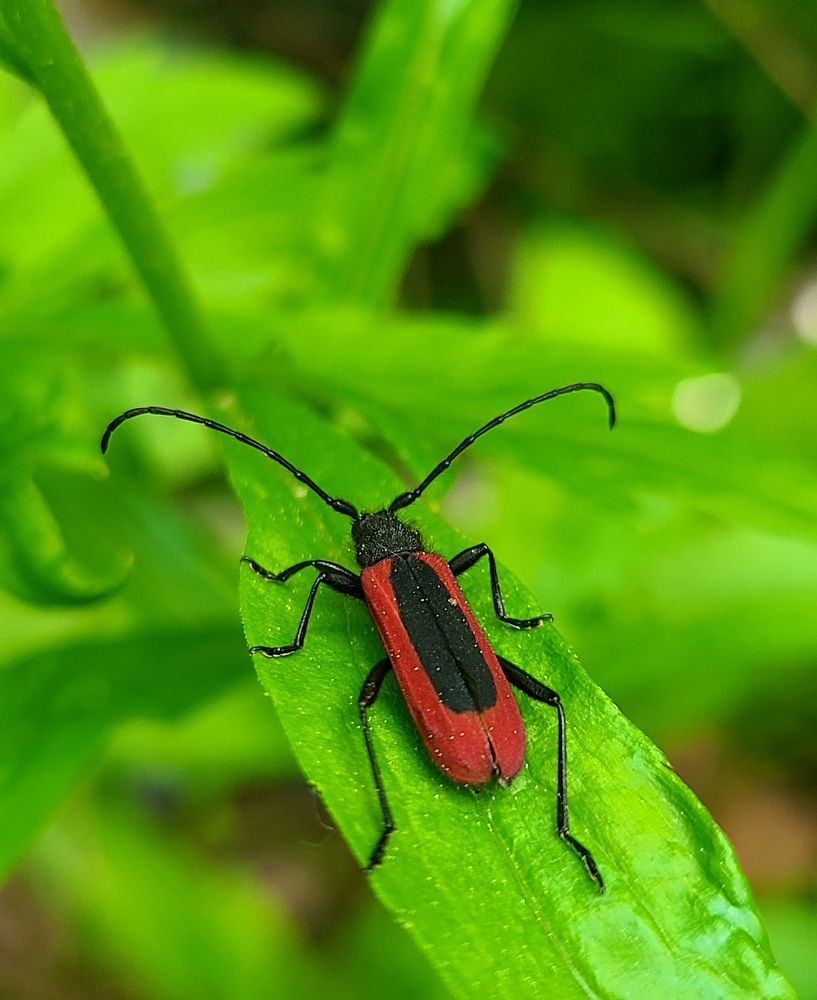 Photograph by Татьяна Бухтиярова