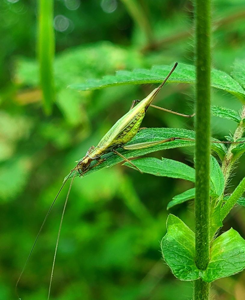 Photograph by Татьяна Бухтиярова
