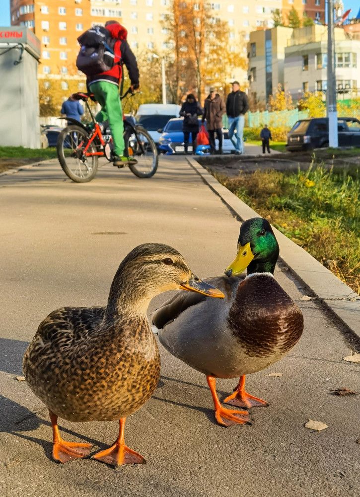 Photograph by Юлия