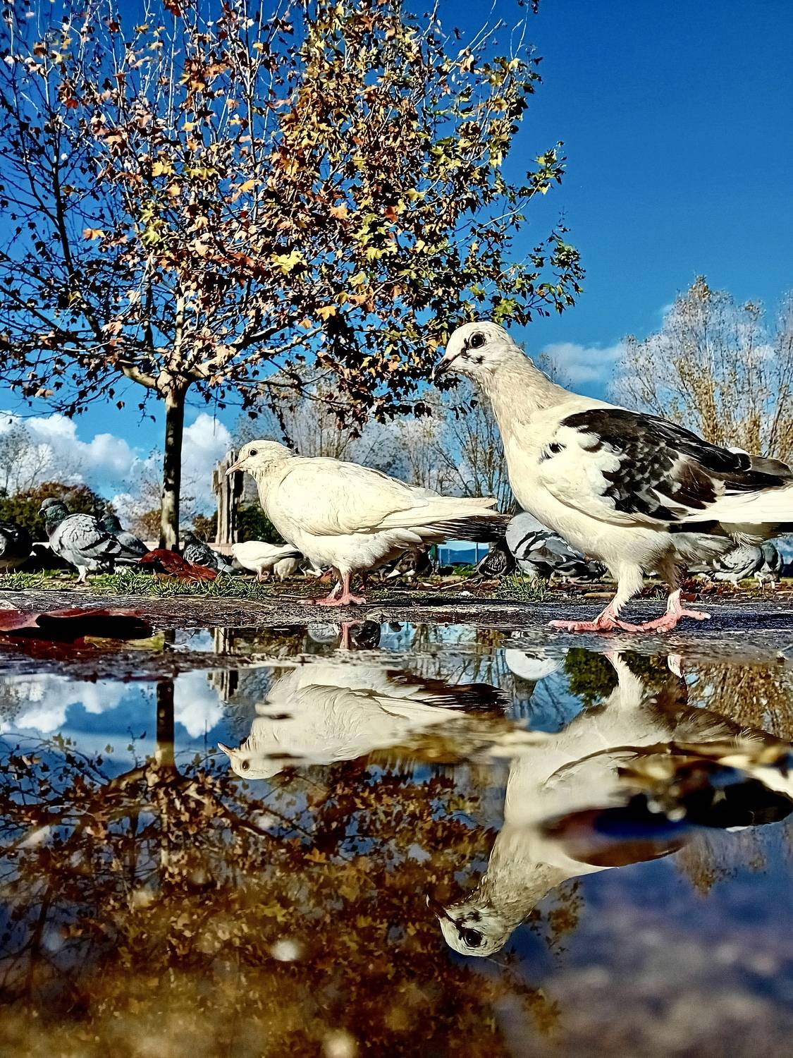 Photo #11753542