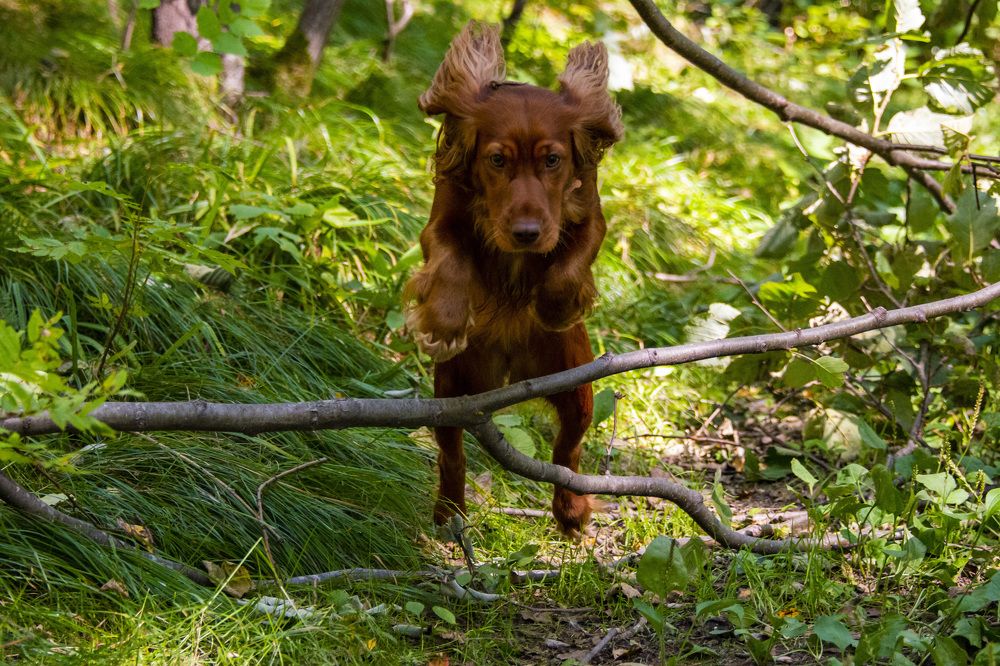 Photograph by Дмитрий Юдин