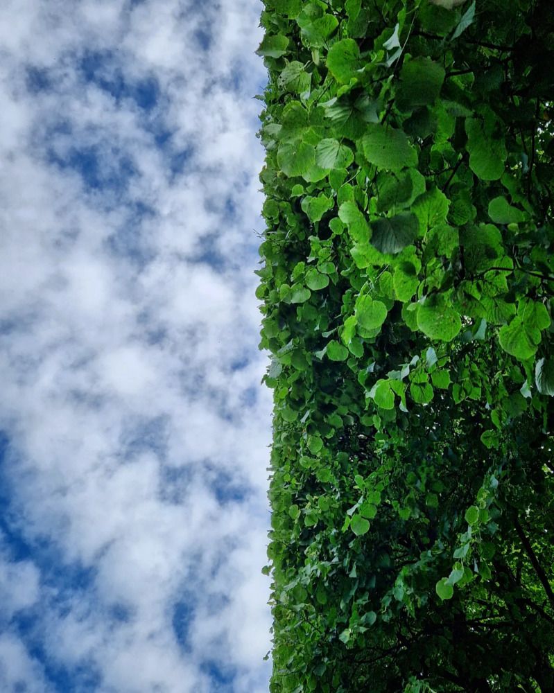 Photograph by Андрей Масайтис