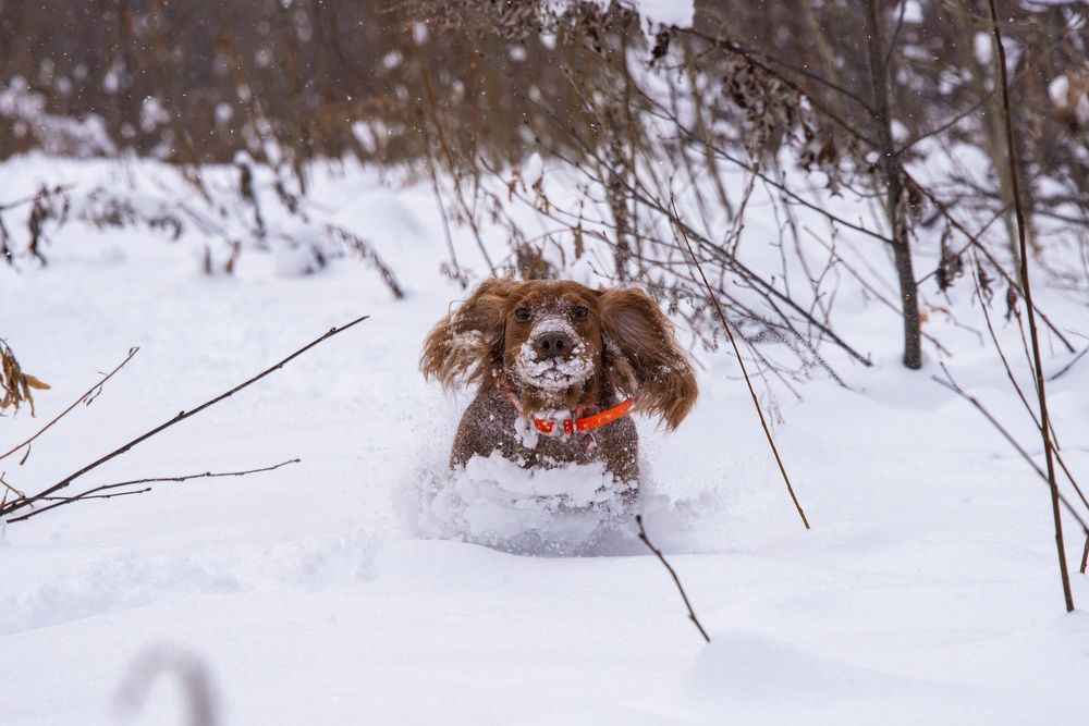 Photograph by Дмитрий Юдин