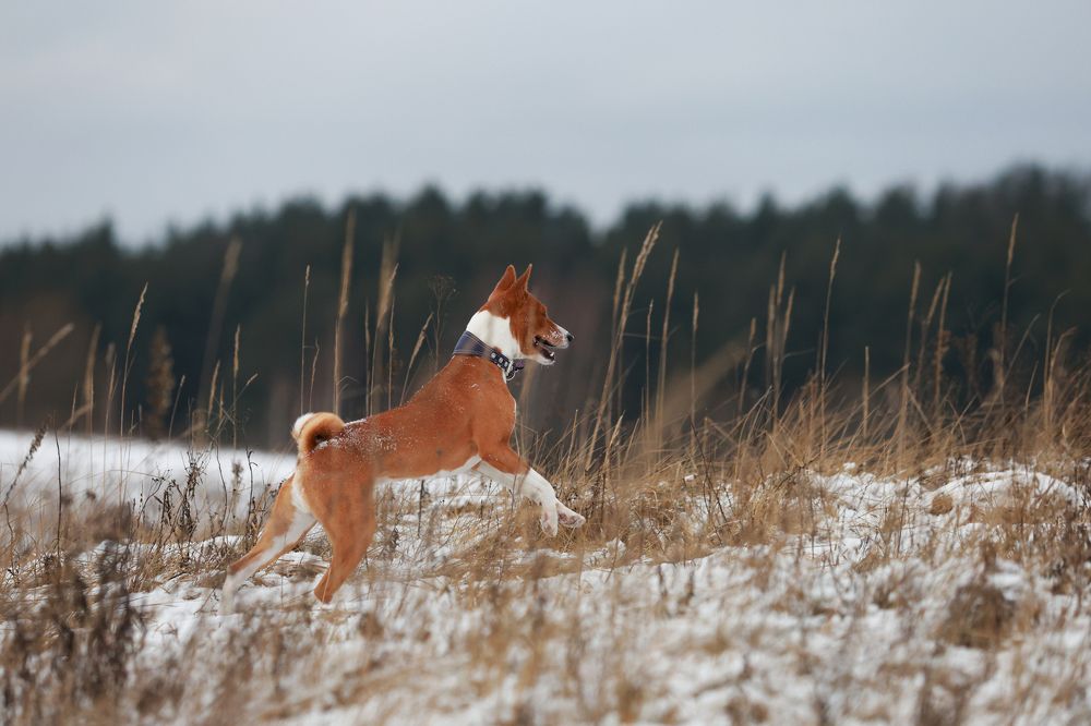 Photograph by Татьяна Миняйлова