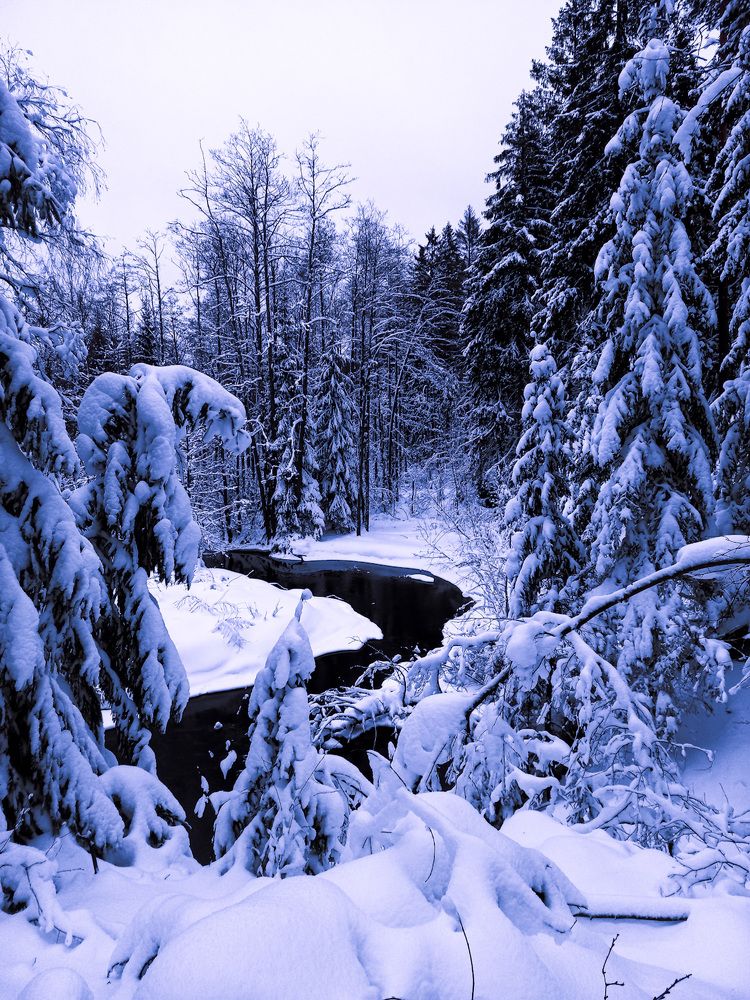 Photograph by Мария Бурик