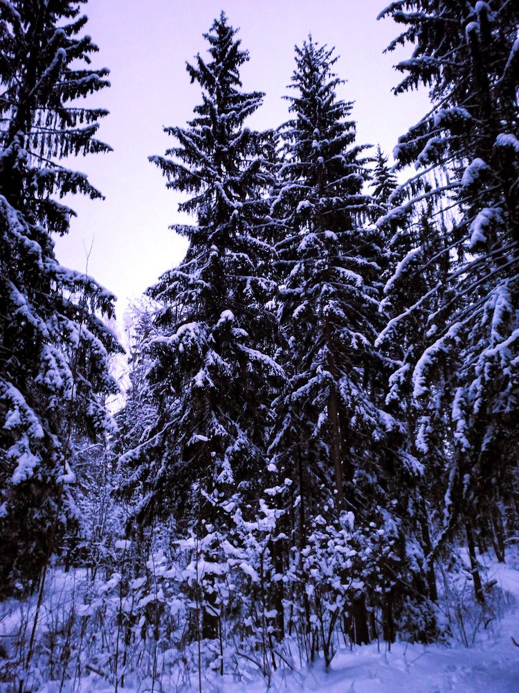 Photograph by Мария Бурик