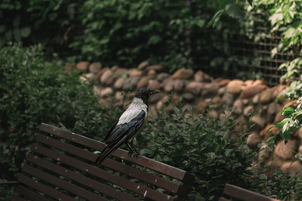 Photograph by Татьяна Степанова