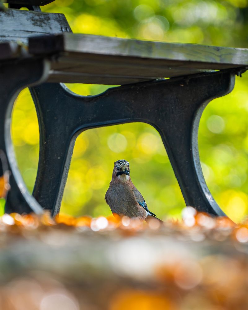 Photograph by Роман Данильчик