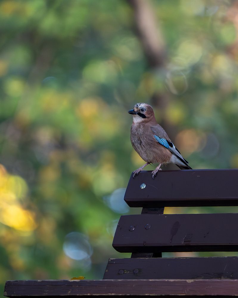 Photograph by Роман Данильчик