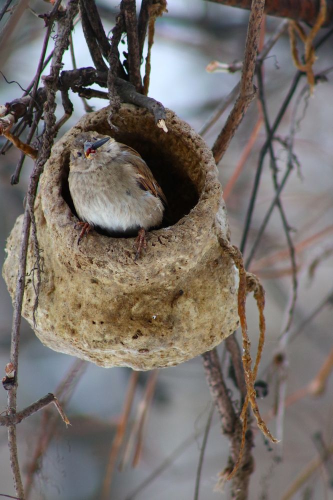 Photograph by Светлана Шуткова
