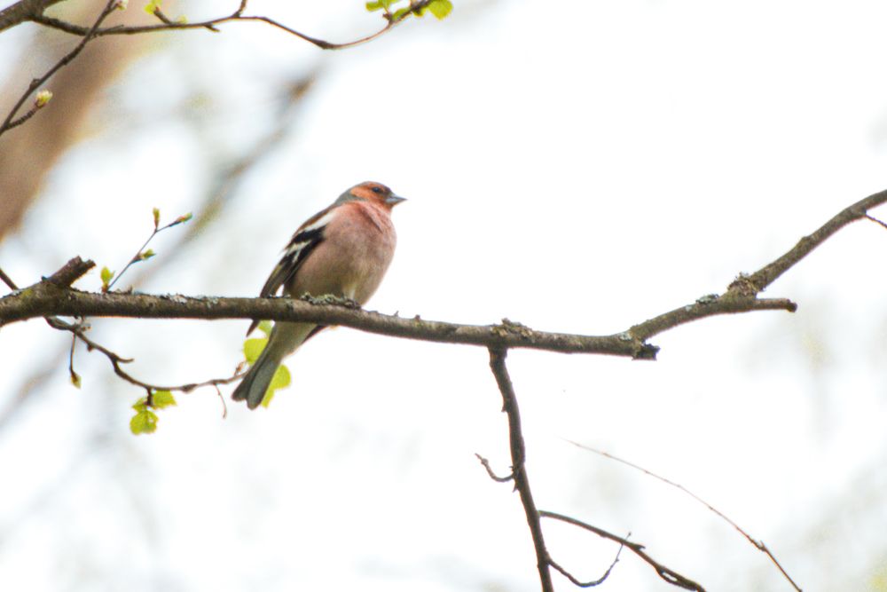 Photograph by Ольга