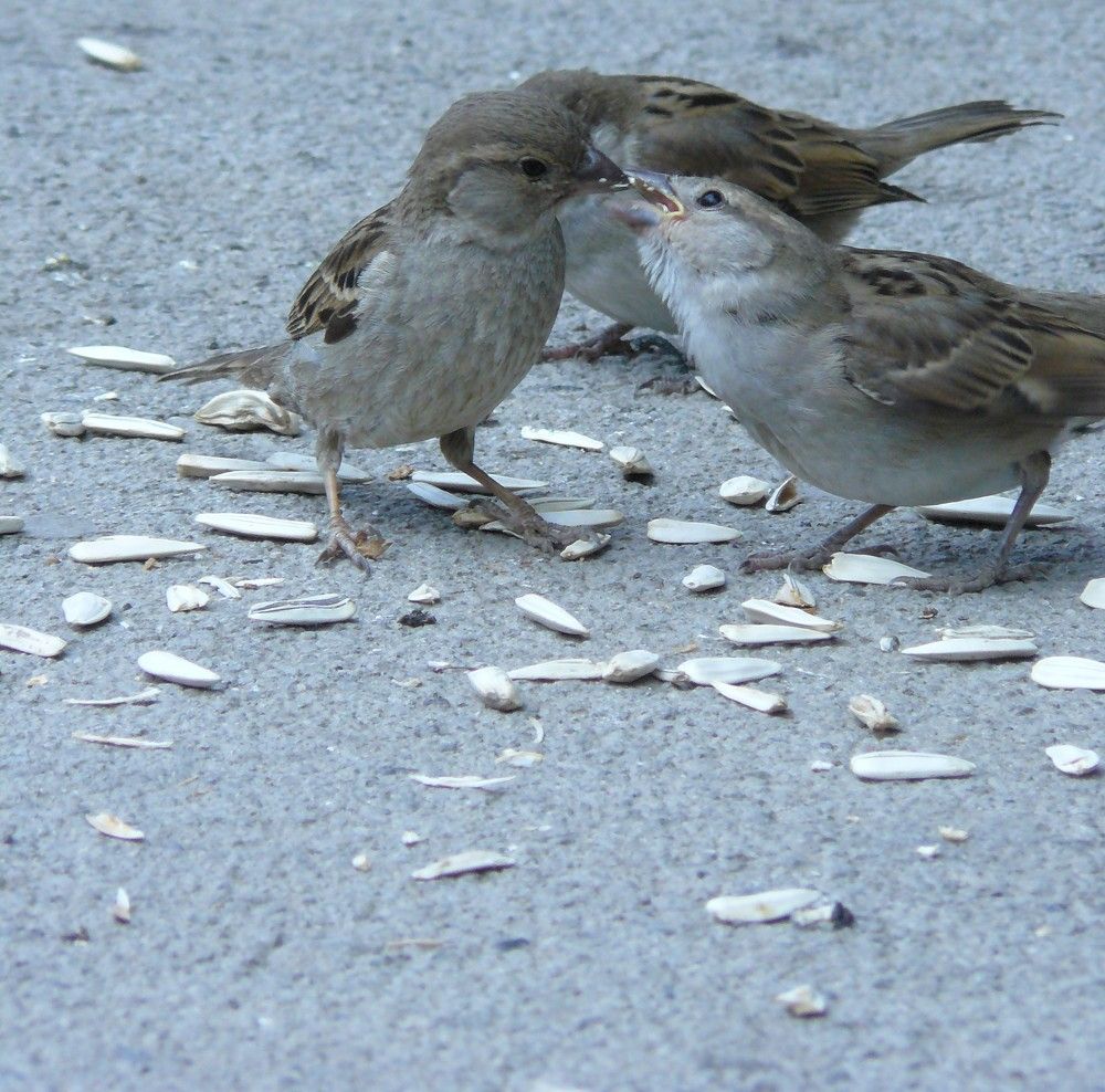 Photograph by Igor Shulkin