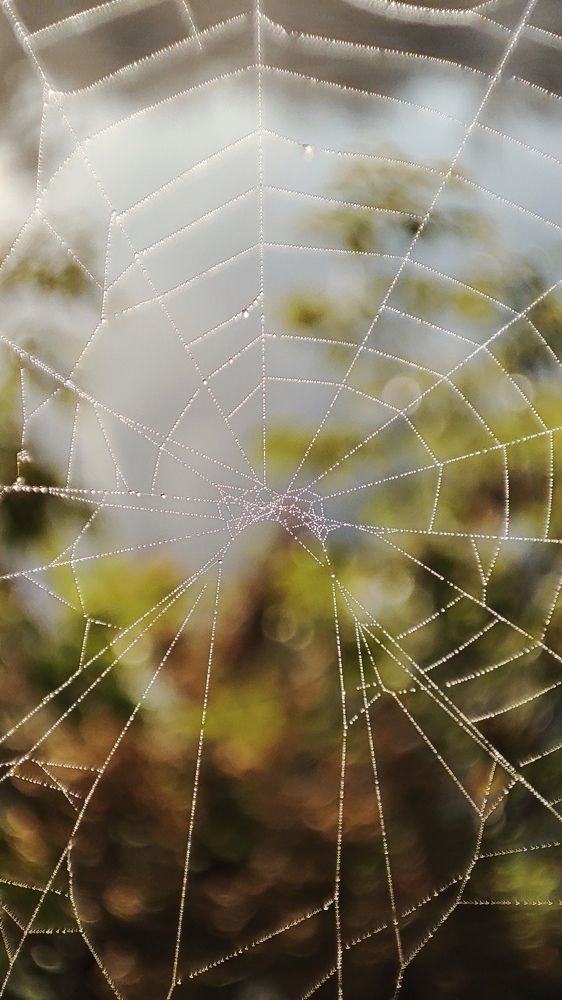 Photograph by Людмила Кузнецова