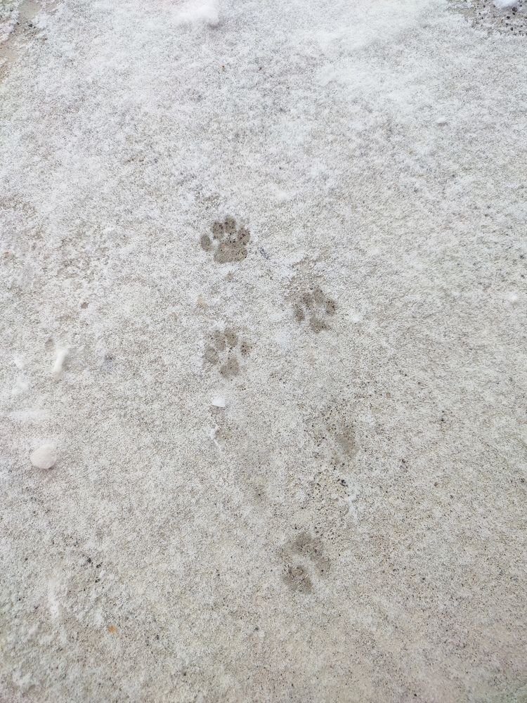 Photograph by Людмила Кузнецова