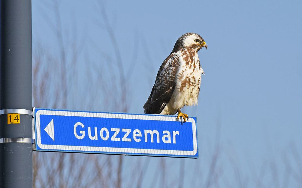 Photograph by Marjo Steffen