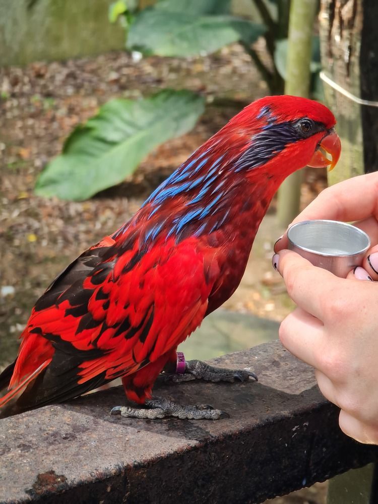 Photograph by Вадим Богатиков