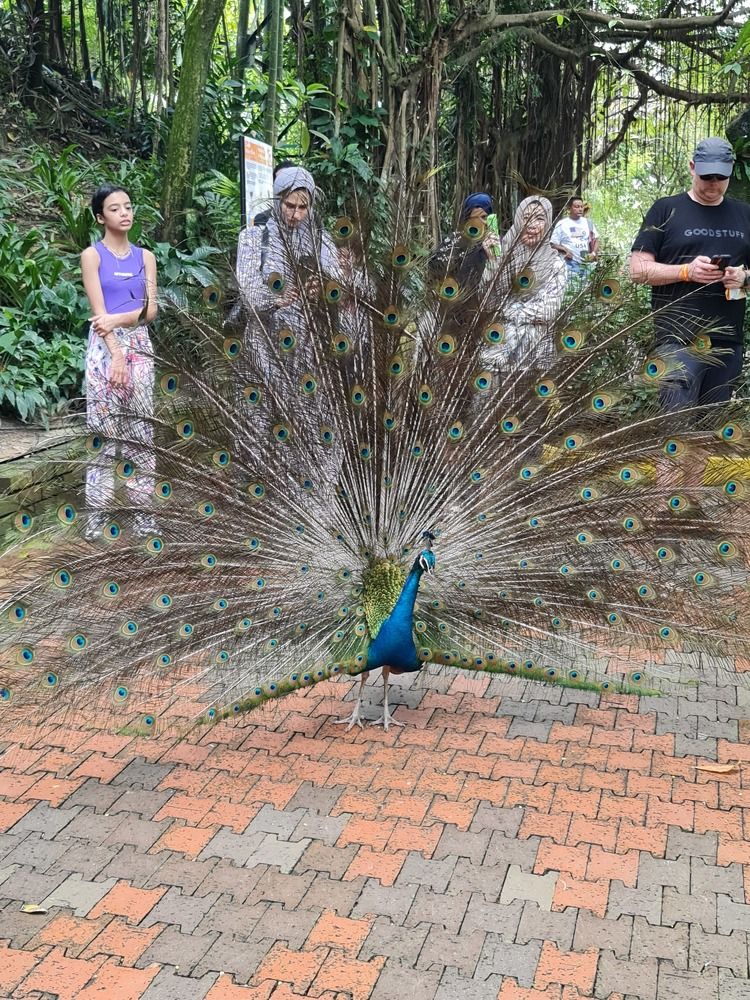 Photograph by Вадим Богатиков