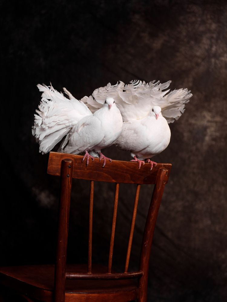 Photograph by Татьяна Киж