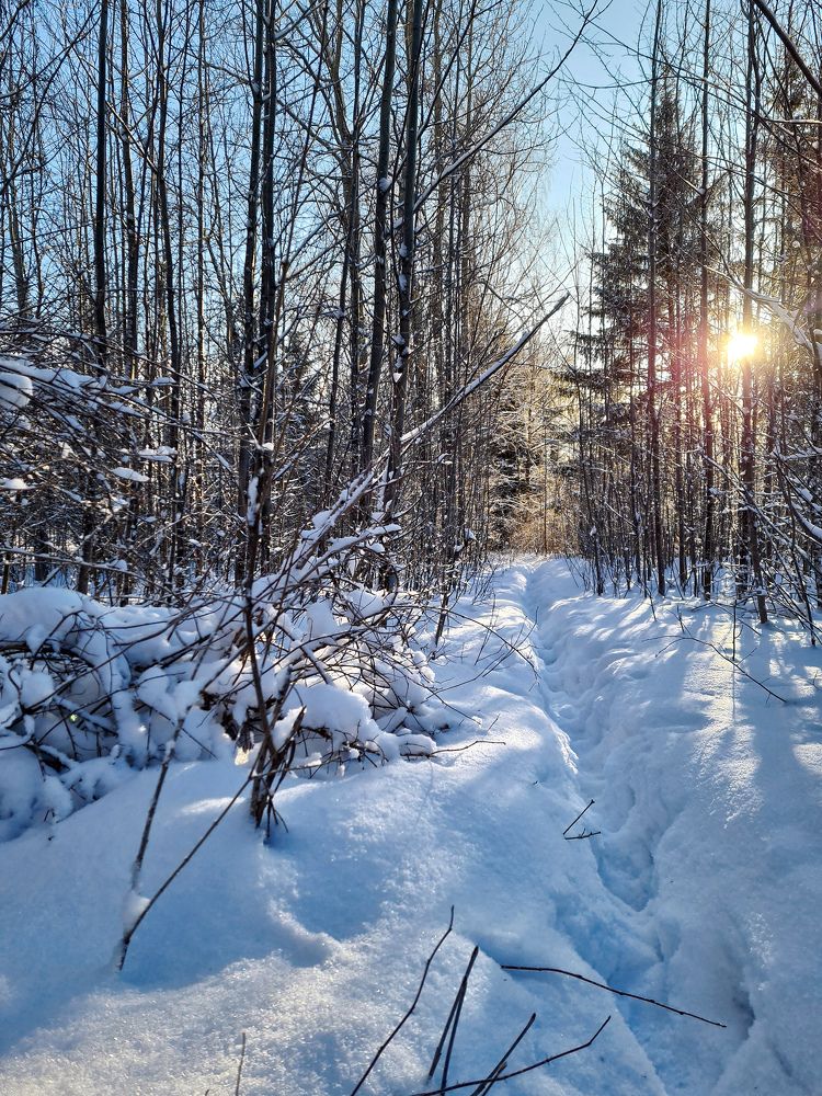 Photograph by Людмила Григорьева