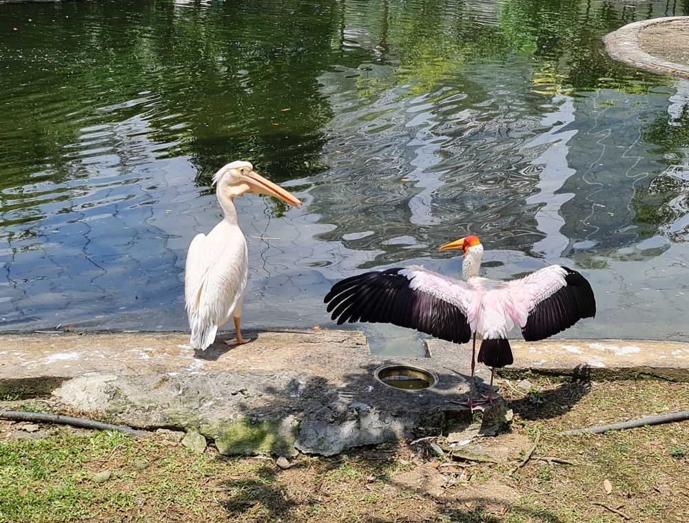 Photograph by Вадим Богатиков