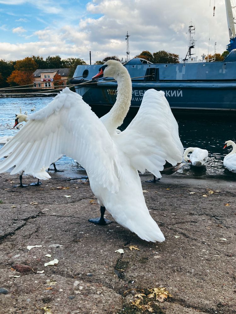 Photograph by Юлия Ерофеева