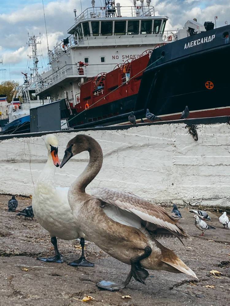 Photograph by Юлия Ерофеева