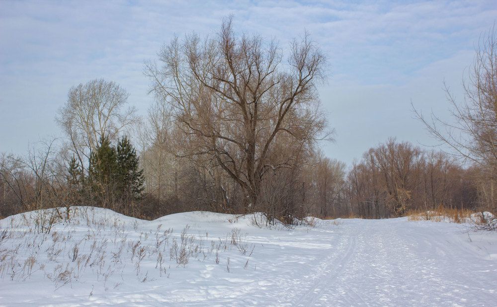 Фотография автора Илья Берт
