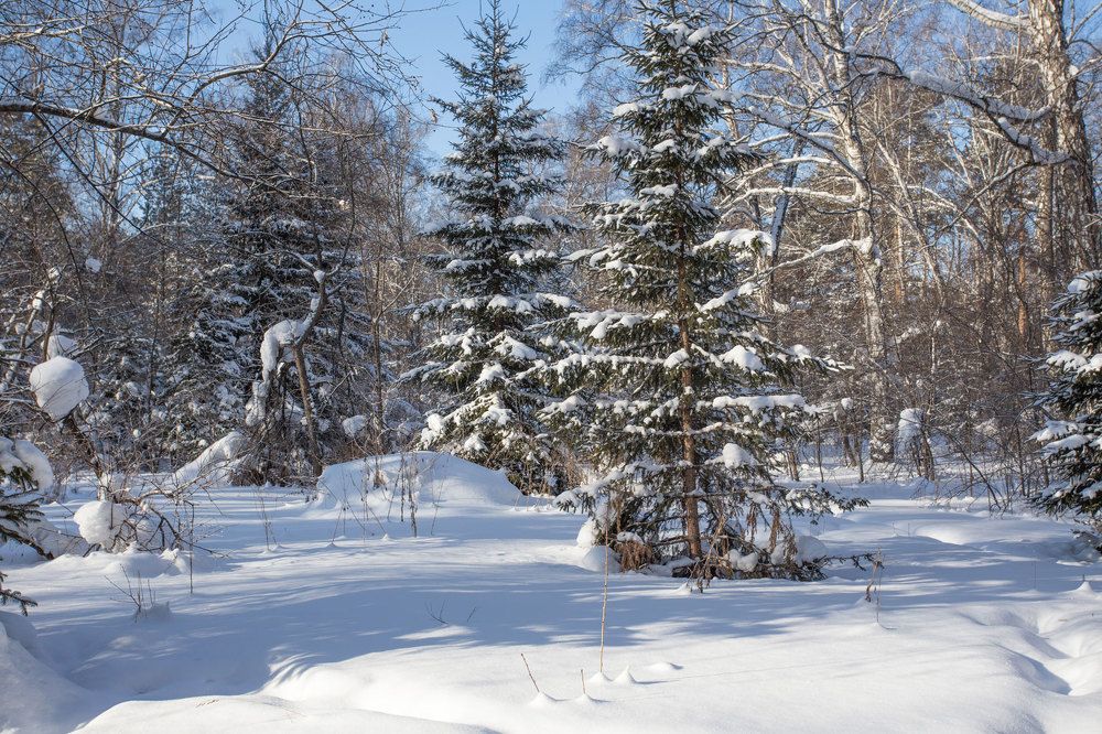 Фотография автора Илья Берт