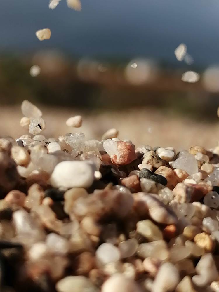 Фотография автора Светлана