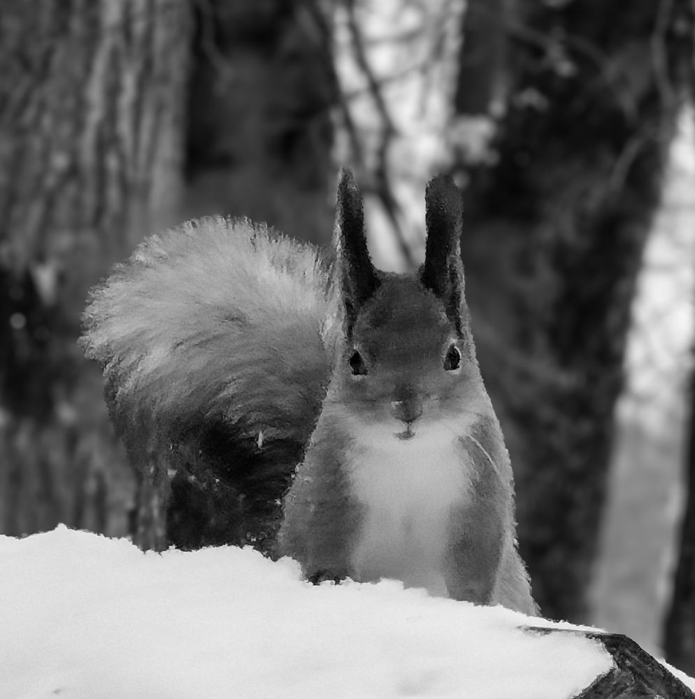 Photograph by Елена